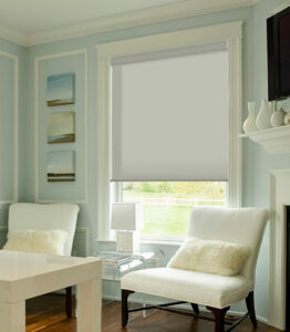 ColorLux Roller Shades in Arctic Shadow