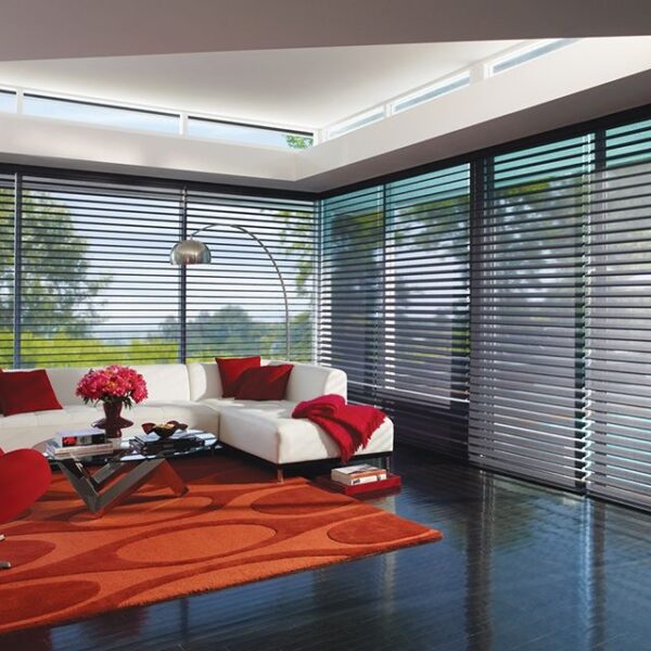 floor to ceiling blinds