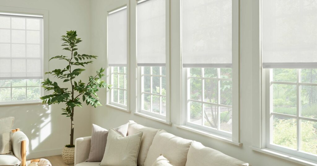 White roller shades with indoor plants in home interior.