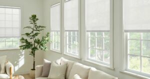 White roller shades with indoor plants in home interior